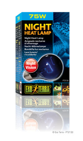 Exo Terra Mondscheinlampe  NIGHT HEAT LAMP