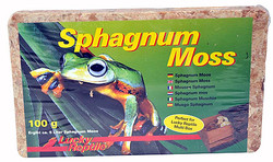 Sphagnum Moos 100g Lucky Reptile